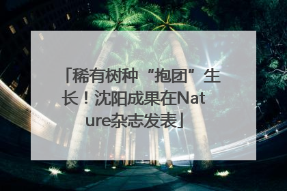 稀有树种“抱团”生长！沈阳成果在Nature杂志发表