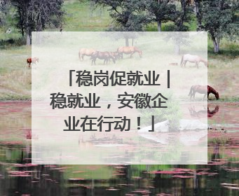 稳岗促就业｜稳就业，安徽企业在行动！