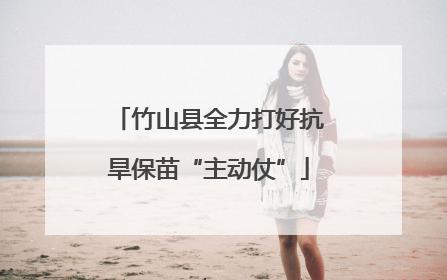 竹山县全力打好抗旱保苗“主动仗”