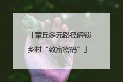 章丘多元路径解锁乡村“致富密码”