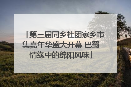 第三届同乡社团家乡市集嘉年华盛大开幕 巴蜀情缘中的绵阳风味