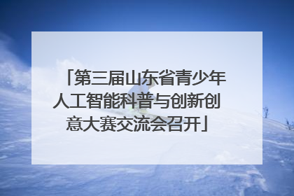 第三届山东省青少年人工智能科普与创新创意大赛交流会召开