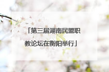 第三届湖南民盟职教论坛在衡阳举行