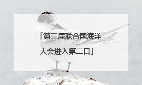第三届联合国海洋大会进入第二日