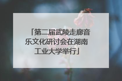 第二届武陵走廊音乐文化研讨会在湖南工业大学举行