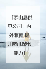 罗山县供电公司：内外兼顾 提升防汛保电能力
