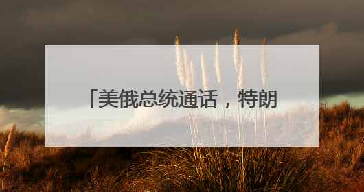 美俄总统通话，特朗普：普京称将坚决回应乌克兰袭击俄机场