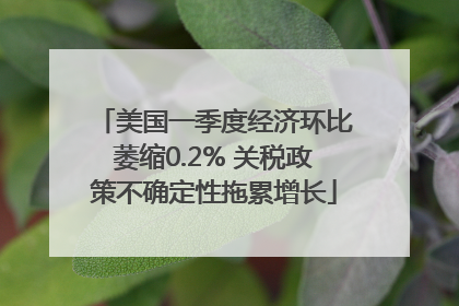 美国一季度经济环比萎缩0.2% 关税政策不确定性拖累增长