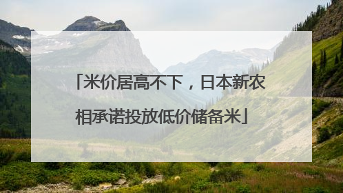 米价居高不下，日本新农相承诺投放低价储备米