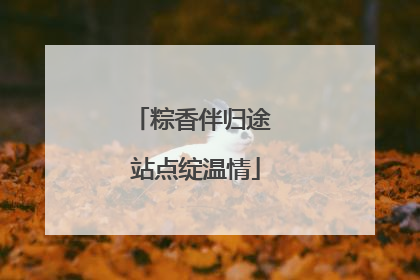 粽香伴归途 站点绽温情