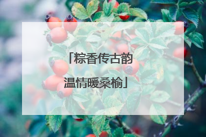粽香传古韵 温情暖桑榆
