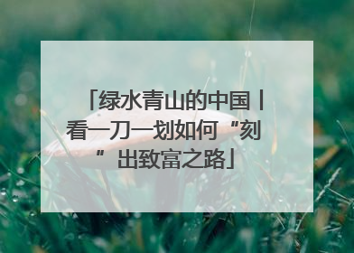 绿水青山的中国丨看一刀一划如何“刻”出致富之路