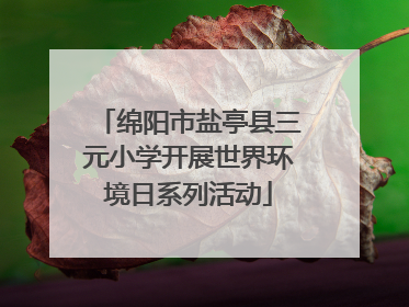 绵阳市盐亭县三元小学开展世界环境日系列活动