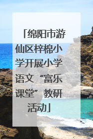 绵阳市游仙区梓棉小学开展小学语文“富乐课堂”教研活动