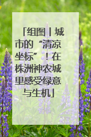 组图丨城市的“清凉坐标”！在株洲神农城里感受绿意与生机