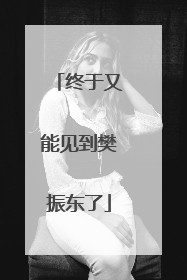 终于又能见到樊振东了