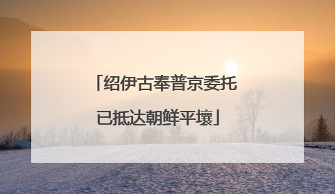 绍伊古奉普京委托已抵达朝鲜平壤