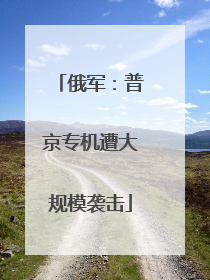 俄军：普京专机遭大规模袭击