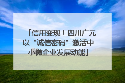 信用变现！四川广元以“诚信密码”激活中小微企业发展动能