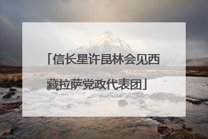 信长星许昆林会见西藏拉萨党政代表团