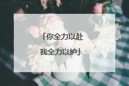 你全力以赴 我全力以护