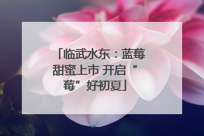 临武水东：蓝莓甜蜜上市 开启“莓”好初夏