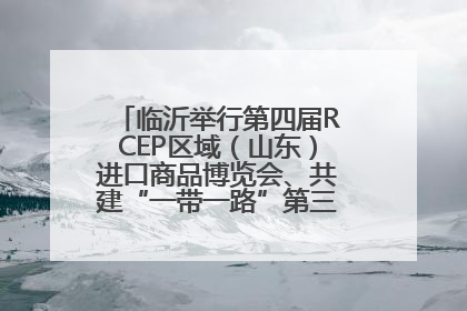 临沂举行第四届RCEP区域（山东）进口商品博览会、共建“一带一路”第三届临沂商城国际采购商大会新闻发布会