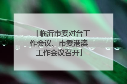 临沂市委对台工作会议、市委港澳工作会议召开
