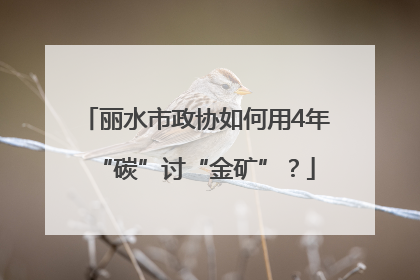 丽水市政协如何用4年“碳”讨“金矿”？