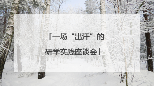一场“出汗”的研学实践座谈会