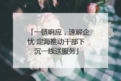 一链响应，速解企忧 定海推动干部下沉一线送服务