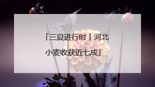 三夏进行时丨河北小麦收获近七成