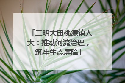 三明大田桃源镇人大：推动河流治理，筑牢生态屏障