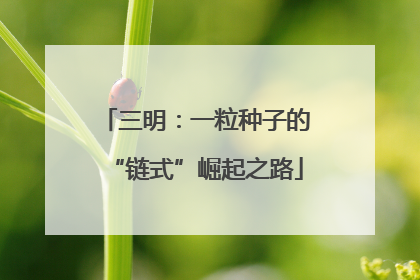 三明：一粒种子的“链式”崛起之路
