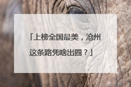 上榜全国最美，沧州这条路凭啥出圈？