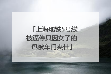 上海地铁5号线被逼停只因女子的包被车门夹住