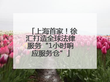 上海首家！徐汇打造全球法律服务“1小时响应服务仓”