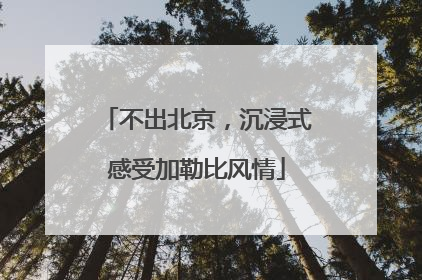 不出北京，沉浸式感受加勒比风情