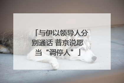 与伊以领导人分别通话 普京说愿当“调停人”