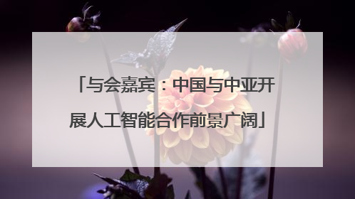 与会嘉宾：中国与中亚开展人工智能合作前景广阔
