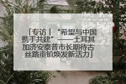 专访丨“希望与中国携手共建”——土耳其加济安泰普市长期待古丝路重镇焕发新活力