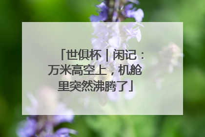 世俱杯｜闲记：万米高空上，机舱里突然沸腾了
