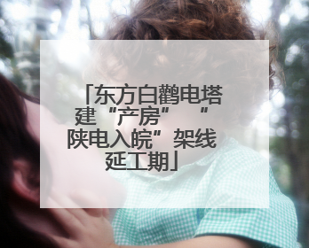 东方白鹳电塔建“产房” “陕电入皖”架线延工期