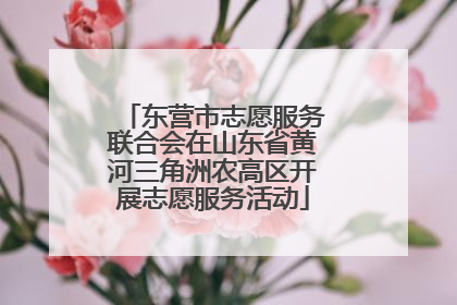 东营市志愿服务联合会在山东省黄河三角洲农高区开展志愿服务活动
