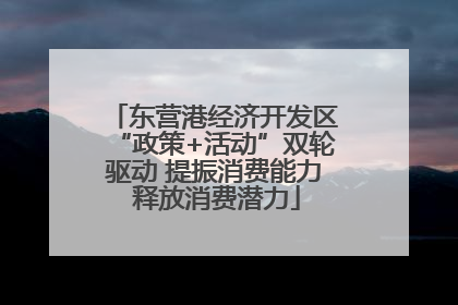 东营港经济开发区“政策+活动”双轮驱动 提振消费能力 释放消费潜力