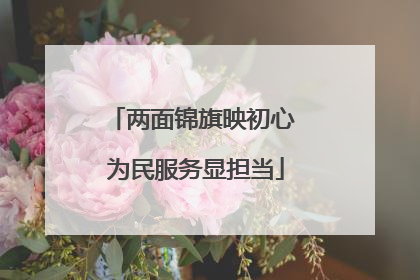 两面锦旗映初心 为民服务显担当