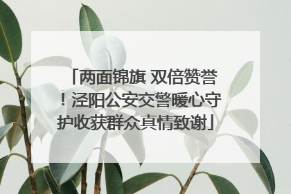 两面锦旗 双倍赞誉！泾阳公安交警暖心守护收获群众真情致谢