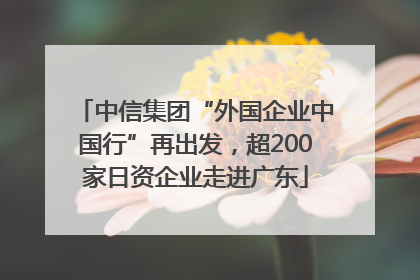 中信集团“外国企业中国行”再出发，超200家日资企业走进广东