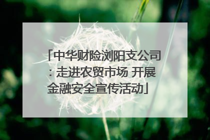 中华财险浏阳支公司：走进农贸市场 开展金融安全宣传活动