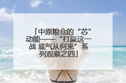中原粮仓的“芯”动能——“打赢这一战 底气从何来”系列观察之四